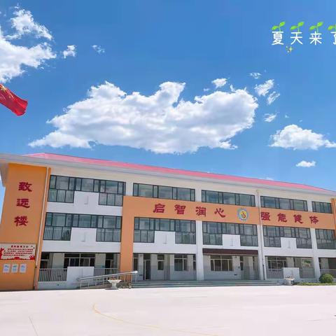 南隆善小学多种形式线上教学总结汇报