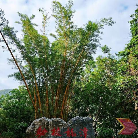 阳光甚好，美景依然☀生活中并不缺少美，而是缺少发现美的眼睛👀我们的小小城，美景无限，朝暮美景大不同☀