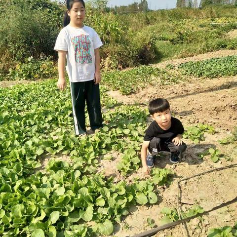 於鑫怡的国庆生活