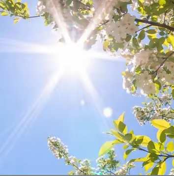 落花芳菲齐三元最新小说完整版