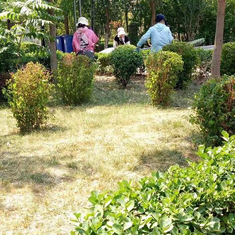 【道德街街道】创卫复审工作热度不减