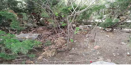 道德街街道全力以赴整改创卫复审“短板”