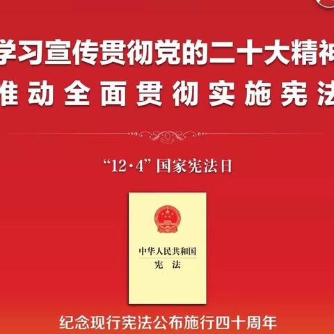 【宪法宣传周】学习宣传贯彻党的二十大精神，推动全面贯彻实施宪法