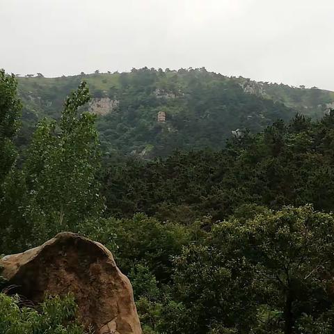 野店镇北坪村，有一个地方叫黑旺。