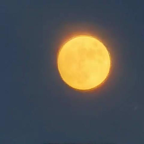 无声玫瑰江允禾陈瑾生最新小说完整版阅读(2022年11月04日推荐小说)