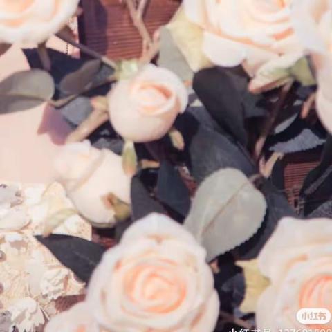 正主较量小孟露露最新小说完整版