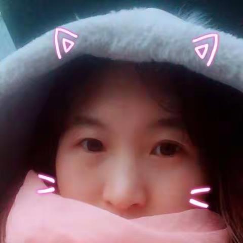 饼干之仇沈康康最新小说完整版