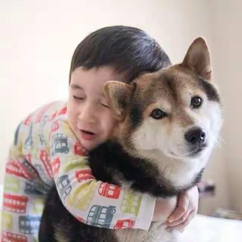 中年霸总傅肾行最新小说完整版阅读(2022年11月03日推荐小说)