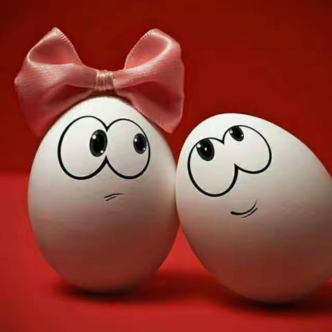 婆婆是团宠沈安安沈昭最新小说完整版阅读(2022年11月6日推荐小说)