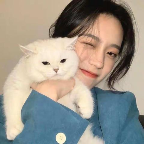 失忆出局程研宋榆北最新小说完整版阅读(2022年11月6日推荐小说)