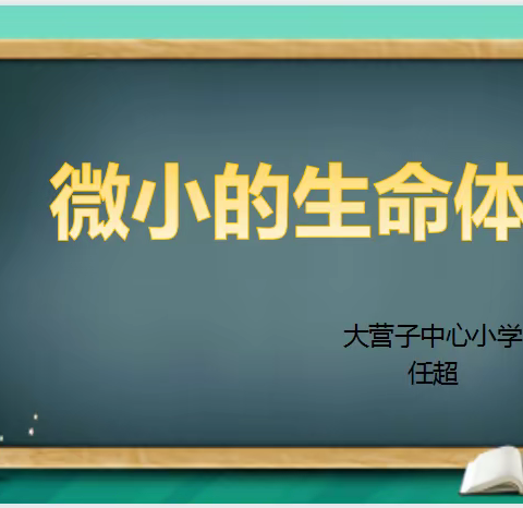 绽放科学魅力，引领教师进步——大营子乡中心小学科学课堂教学展示