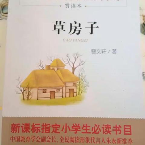 《草房子》读后感