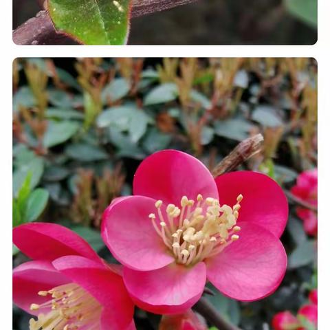 长兴金座2023年三月份工作简报