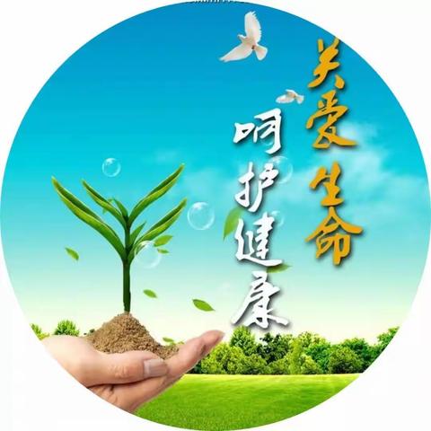 实验幼儿园