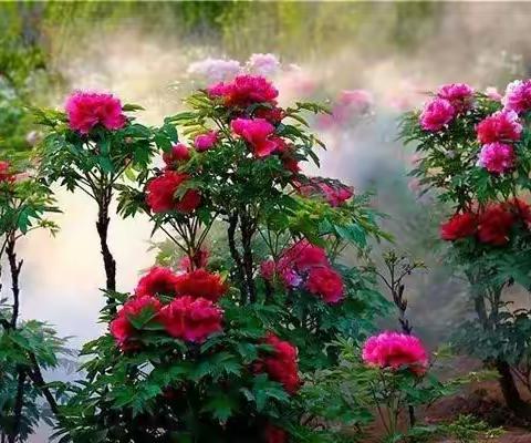 走亲访友到豫鲁