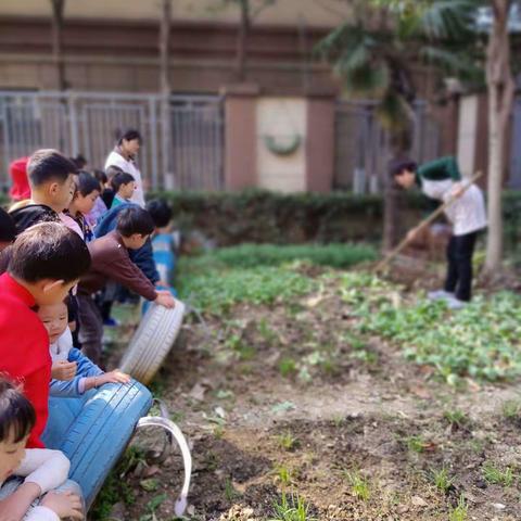 绿润童心 ，心植绿意