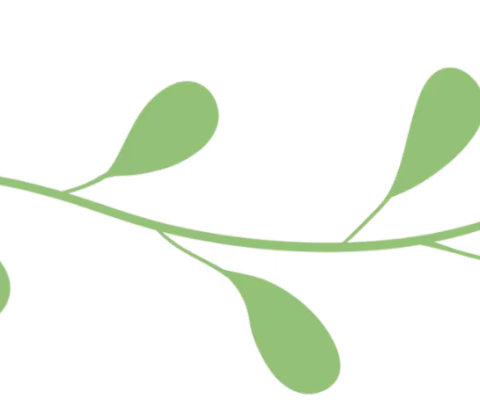 新小：开学返校温馨提醒