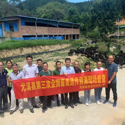 省畜禽遗传资源普查技术专家深入尤溪县开展普查调研指导工作