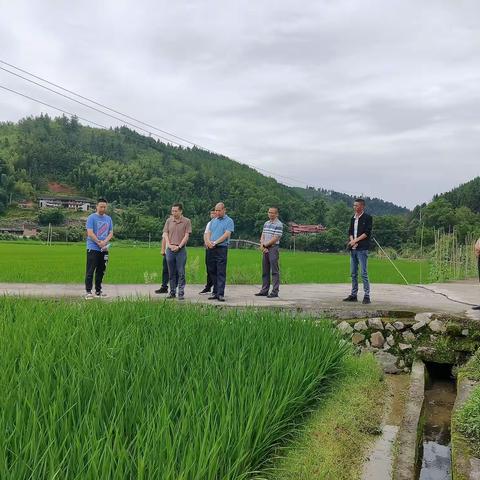 省农业农村厅畜牧兽医处来尤调研