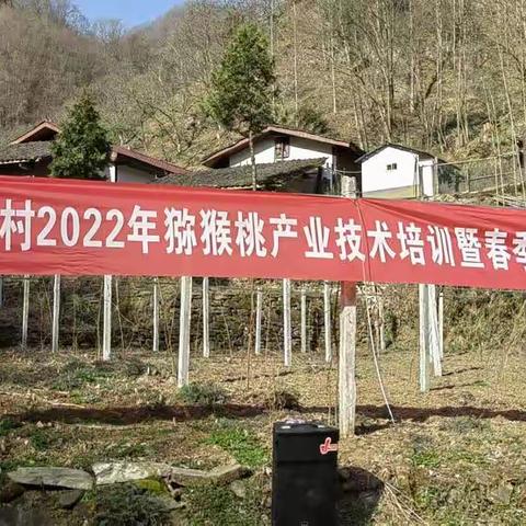 金川镇人大：一年之计在于春 视察产业促民生