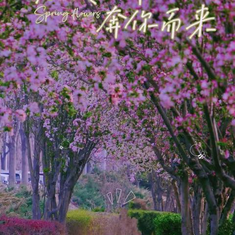 “教”沐春风 ，花香“研”途——博兴县小学科学教师齐鲁大讲堂第97期学习纪实