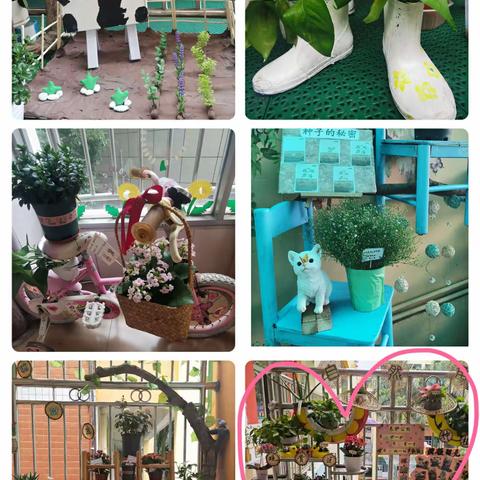 【角落之美，自然之趣】——金色童年幼儿园植物角观摩