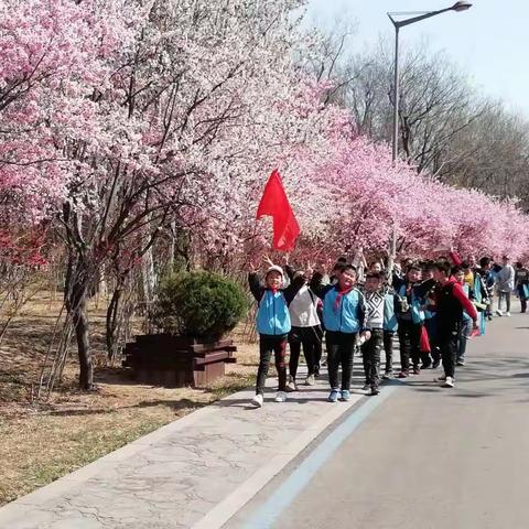 一路花香——四二班 白浪河湿地踏青啦😄