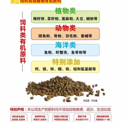 槟榔种植管理技术施肥方案