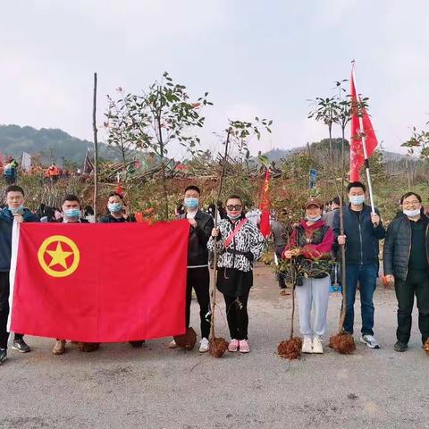 “团建共建青春植梦”主题植树活动