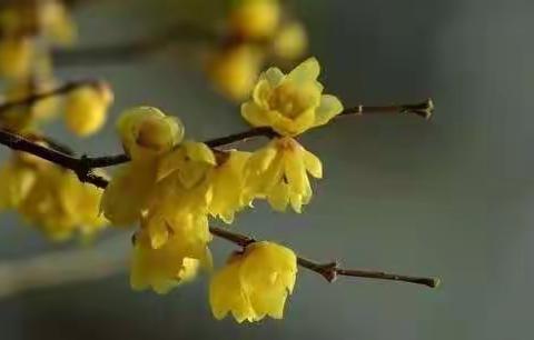 奋斗中的云小——记2021年秋期精彩校园