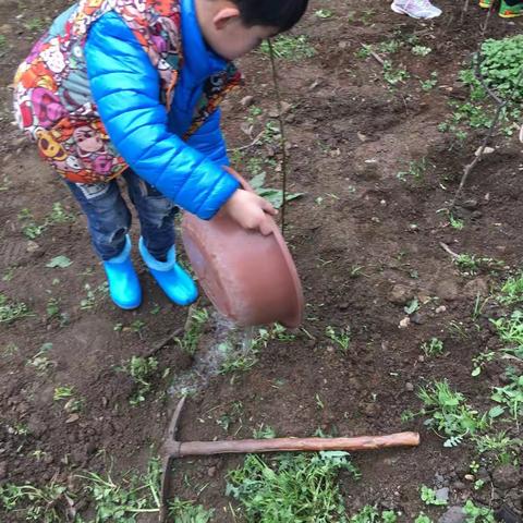 我的美篇