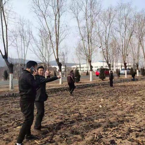 龙西每日工作动态