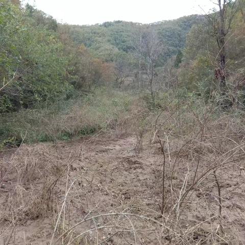 豫陕交界上寺店寺沟清泉寺古文化遗址