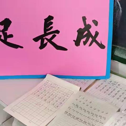 小小书法家    个个展风采