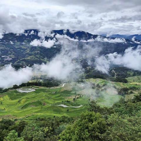 云南游之元阳梯田