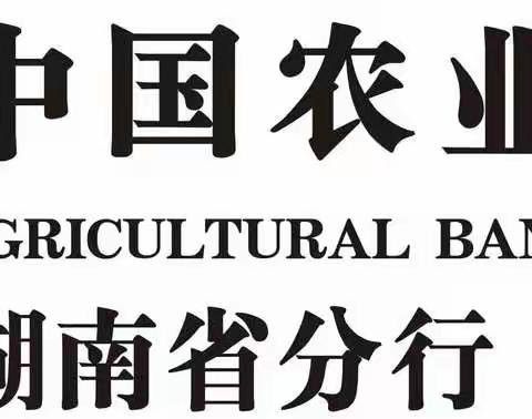 【Day5】中国农业银行湖南省分行信用卡效能提升项目小结