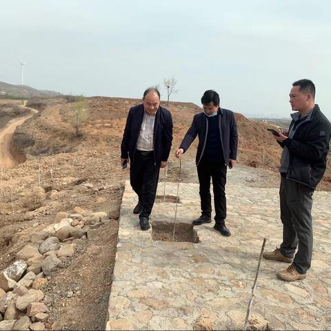 督查局配合林业局实地督导查看“荒山改造，植树造林”项目进展情况