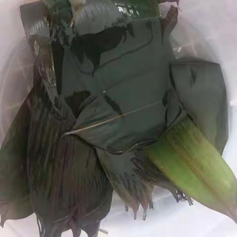 第一次做粽子_杨煜祺