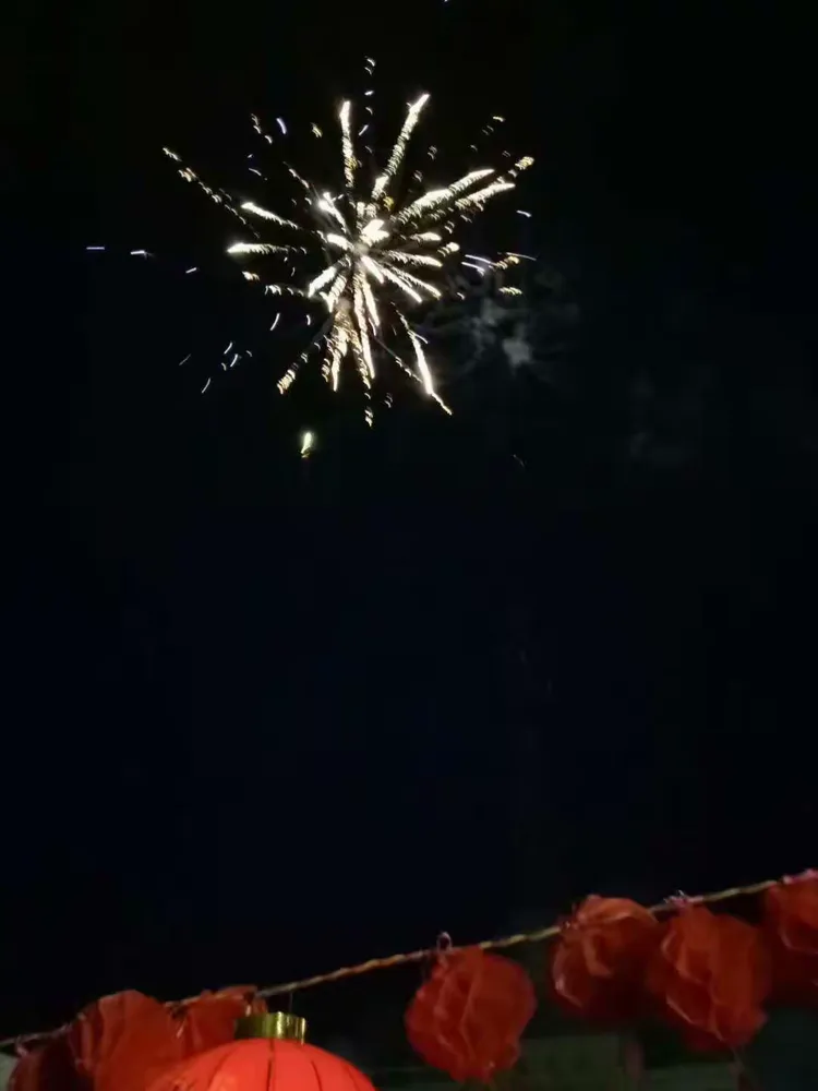 才艺表演刚结束，烟花便腾空燃起，喜庆欢乐的氛围伴随着绚丽夺目的烟花再次洒满校园。