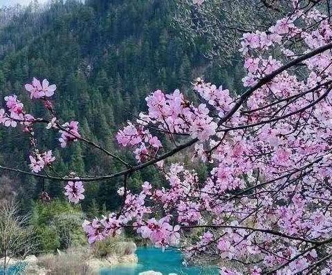 涓涓细流润无声，精彩课堂展风采——龙湖学校“推门听课”活动