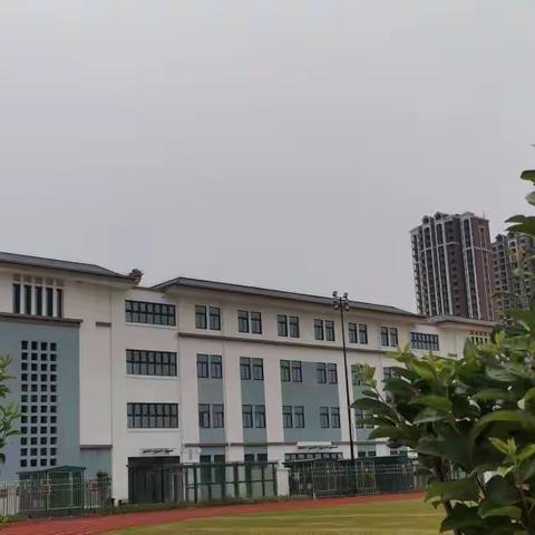 线上教研共成长 静待春暖花开放 --龙湖学校集体教研活动