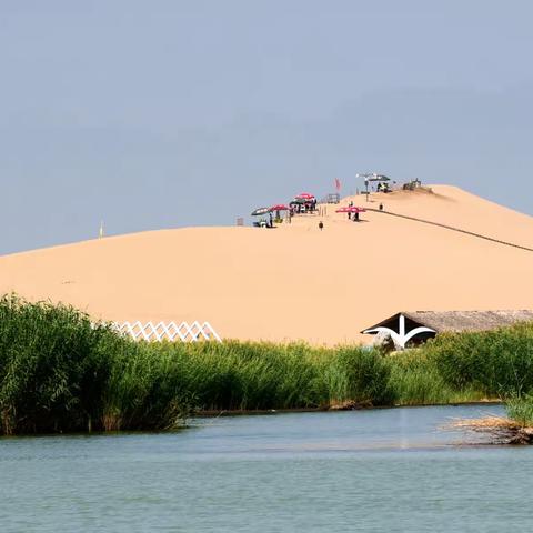 沙海漫步观沙景