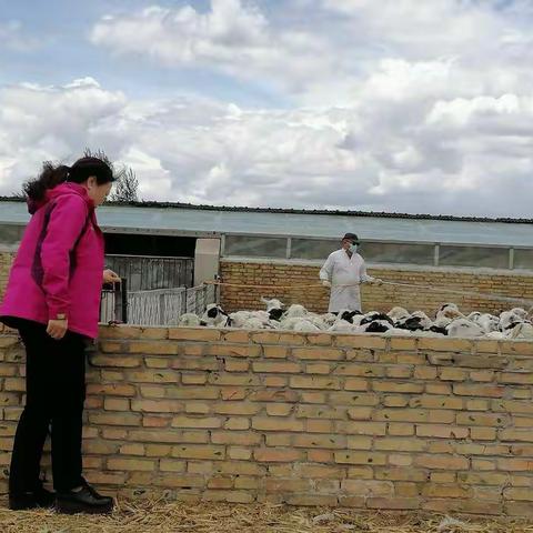 农牧系统党委组织开展“我为群众办实事”结对帮扶活动