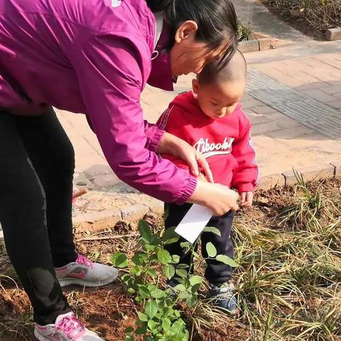 会展中心社区3.12植树节活动