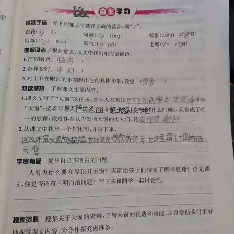 我是书法小大家