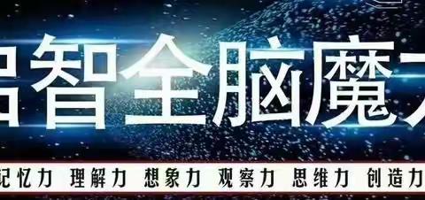 大风车幼儿园园级研修课题——《全脑魔方》