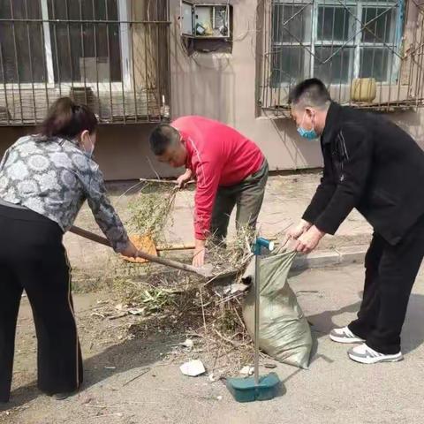 碾盘乡元龙村开展爱国卫生义务劳动