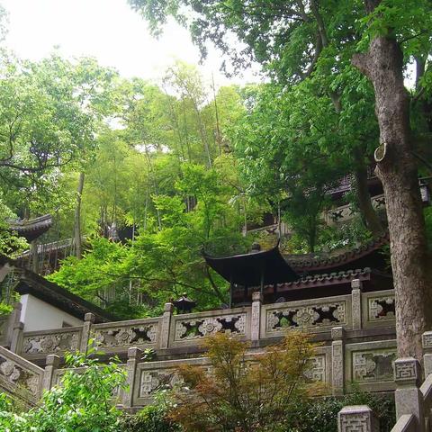 杭城处处皆美景之四十一--韬光寺