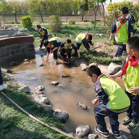 劳动节—海小三四基地实践篇⛳️[庆祝][烟花][爆竹]