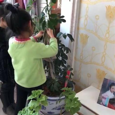 我叫张美誉，来自东方红一年级8班，以下是我多姿多彩的寒假生活！